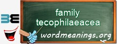 WordMeaning blackboard for family tecophilaeacea
